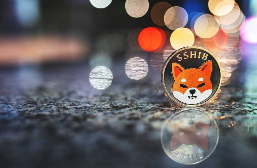 Shiba Inu price prediction as Dogecoin goes vertical